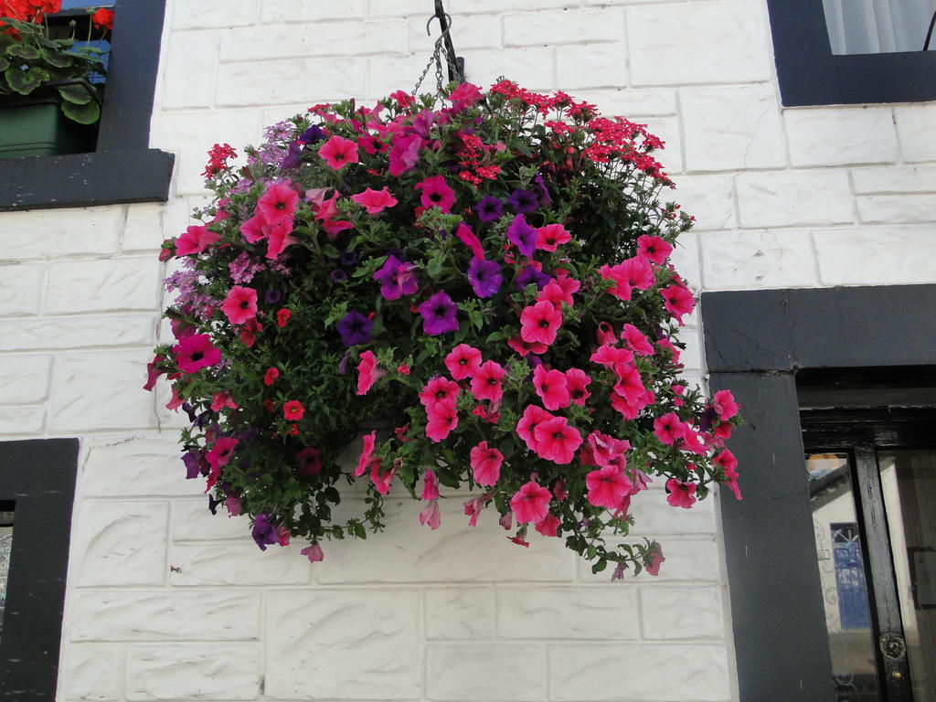 The Red Lion Inn Doune Buitenkant foto